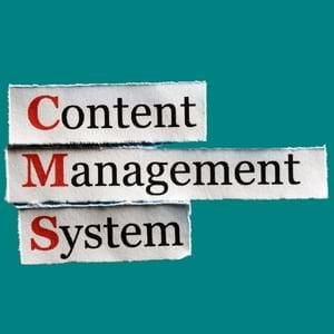 Imagen sobre fondo verde con las letras content management system.